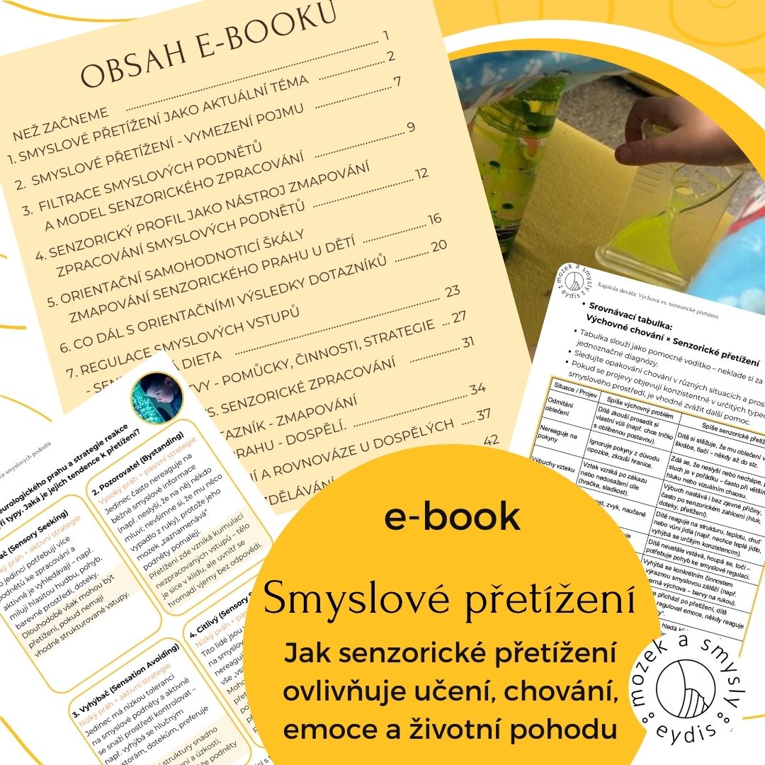 e-book Smyslove_pretizeni Mozek a smysly Dagmar Mega