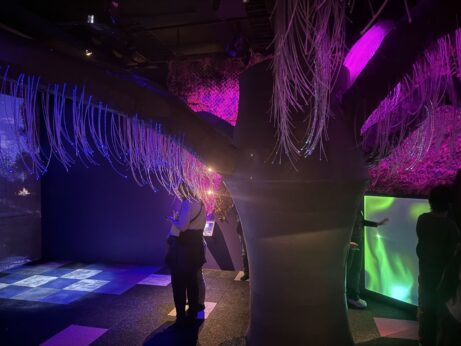 ISNA-MSE-czech www.dagmarmega.cz Rozšíření kvalifikace pro&nbsp;práci v&nbsp;multisenzorickém prostředí Snoezelen - Snoezelen specialista online kurzy, semináře, vzdělávání Mozek a&nbsp;Smysly - Snoezelen www.mozekasmysly.cz