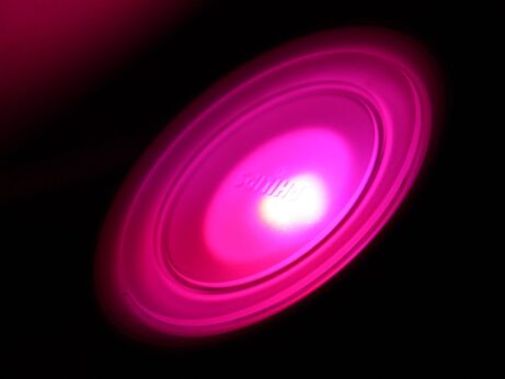 ISNA-MSE-czech www.dagmarmega.cz Rozšíření kvalifikace pro&nbsp;práci v&nbsp;multisenzorickém prostředí Snoezelen - Snoezelen specialista online kurzy, semináře, vzdělávání Mozek a&nbsp;Smysly - Snoezelen www.mozekasmysly.cz